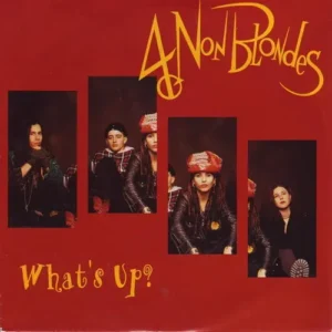 4 Non Blondes - What's up (nur Cover)