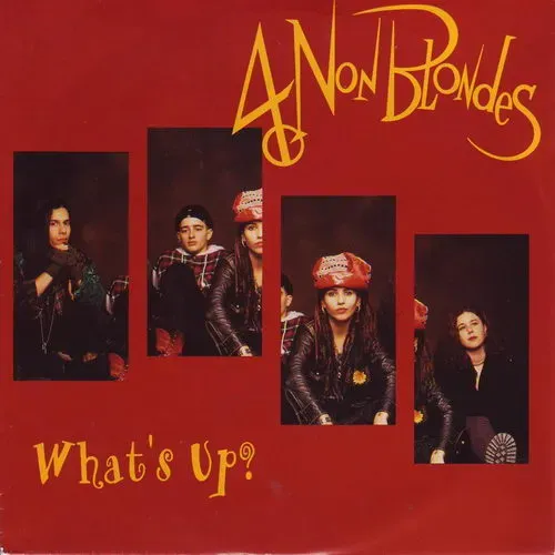 4 Non Blondes - What's up (nur Cover)