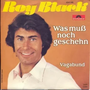 Black Roy - Was muss noch geschehn (nur Cover)