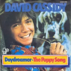 Cassidy David - Daydreamer / Puppy song (nur Cover)