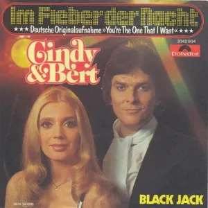 Cindy & Bert - Im Fieber der Nacht (nur Cover)
