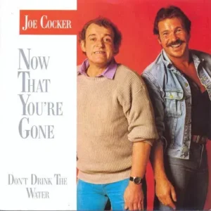 Cocker Joe - Now that you're gone