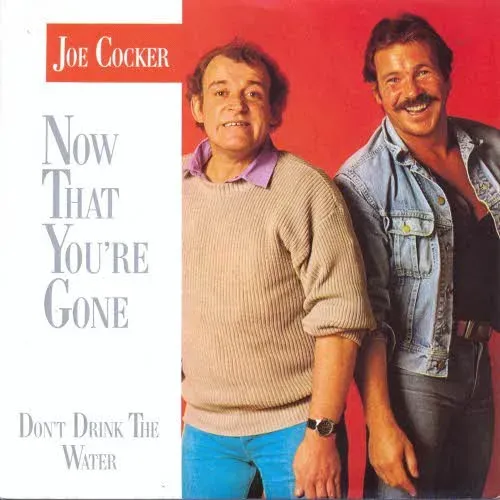 Cocker Joe - Now that you're gone