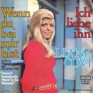 Covi Liane - Wenn du bei mir bist (nur Cover)