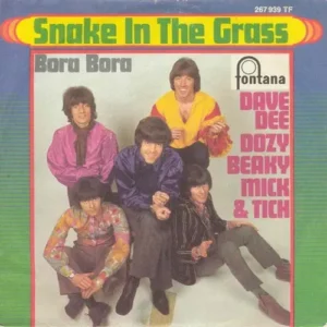 Dee Dave, Dozy, Beaky, Mick & Tich - Snake in the grass