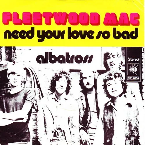 Fleetwood Mac - Need your love so bad (nur Cover)