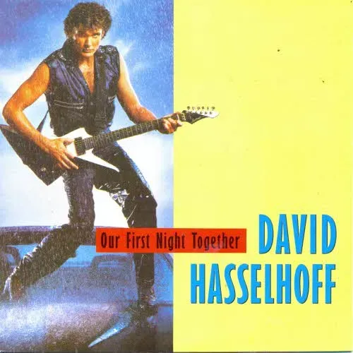 Hasselhoff David - Our first night together (NL)