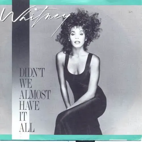 Houston Whitney - Didn't we almost have it all
