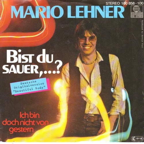 Lehner Mario - Bellamy Brothers-Coverversion