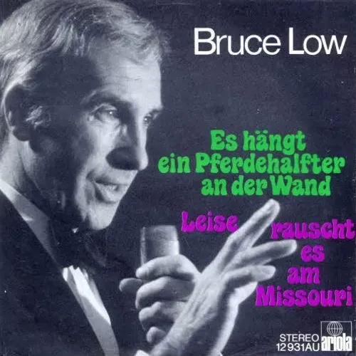 Low Bruce - Es hängt ein Pferdehalfter an der Wand (nur Cover)