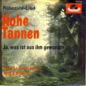 Musikanten-Quartett - Hohe Tannen