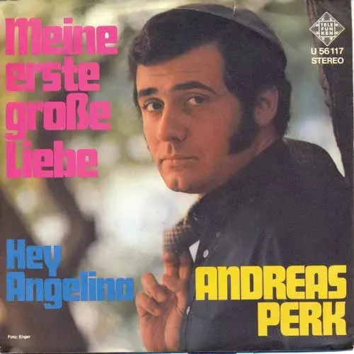 Perk Andreas - Meine erste grosse Liebe (nur Cover)