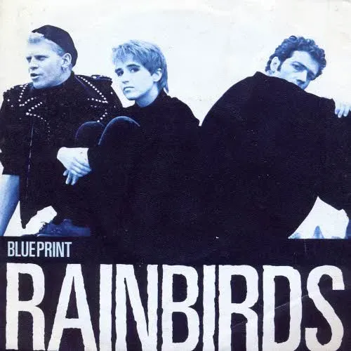 Rainbirds - Blueprint
