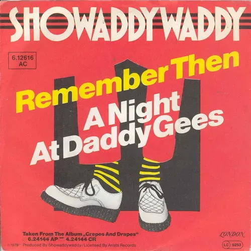 Showaddywaddy - Remember then (nur Cover)