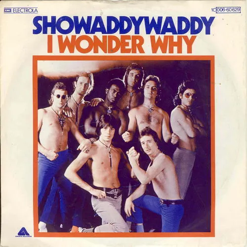 Showaddywaddy - I wonder why