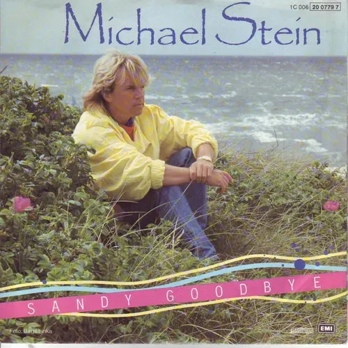 Stein Michael - Sandy goodbye