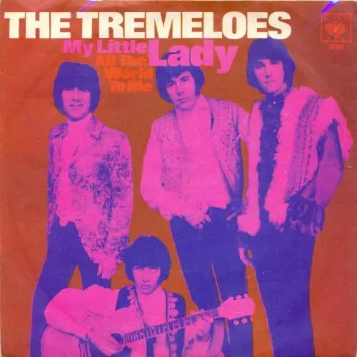 Tremeloes - My little Lady