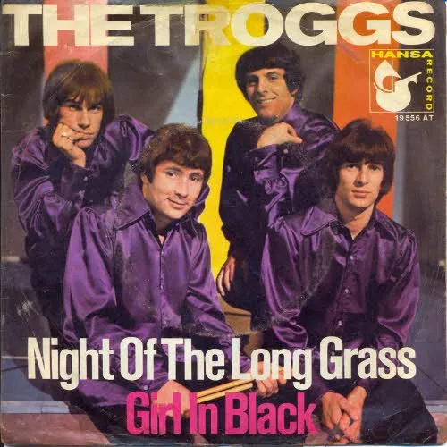 Troggs - Night of the long grass