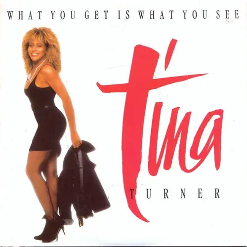 Turner Tina - What you get, is what you see (nur Cover)