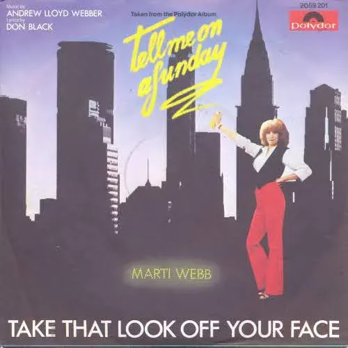 Webb Marti - Take that look of your face (nur Cover)
