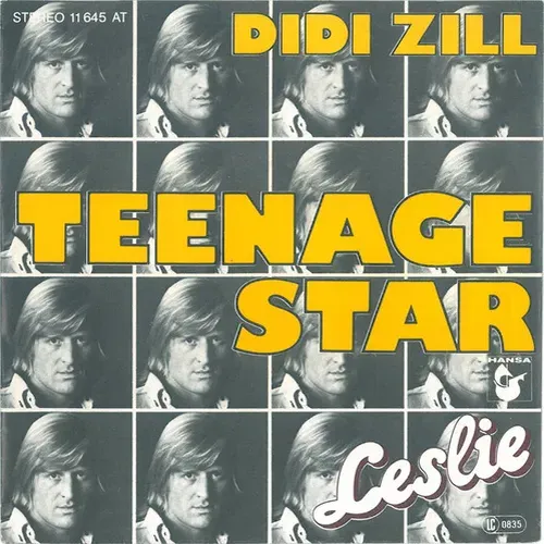 Zill Didi - Teenage Star (nur Cover)