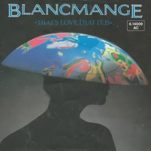 Blancmange - The day before you came (nur Cover)