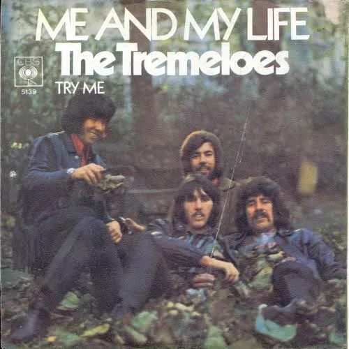 Tremeloes - Me and my life (nur Cover)