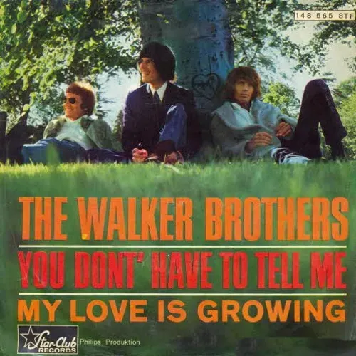 Walker Brothers - You dont` have to tell me
