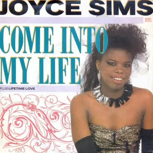 Sims Joyce - Come into my life (nur Cover)