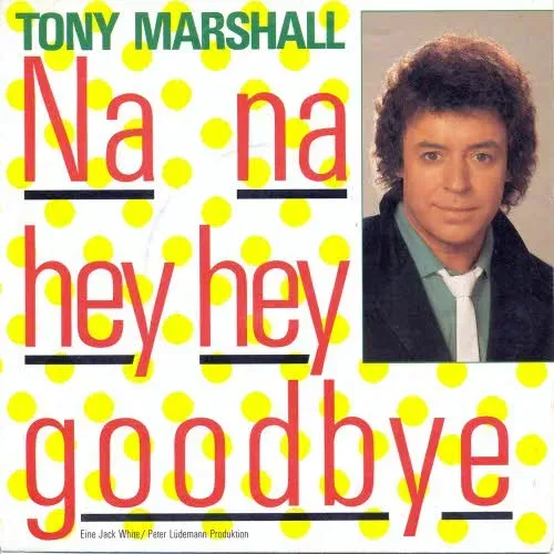 Marshall Tony - Na na hey hey goodbye (nur Cover)