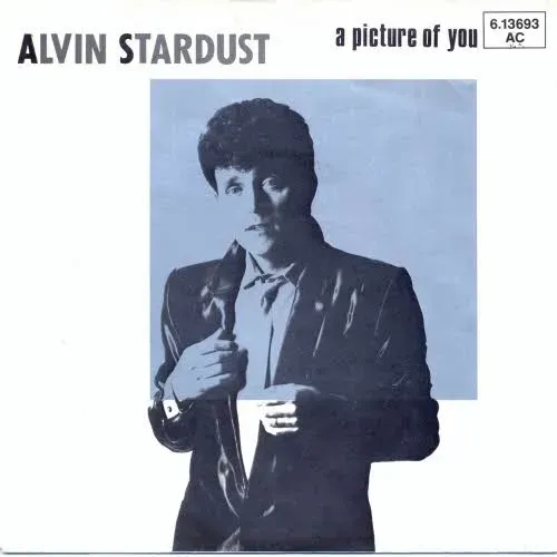 Stardust Alvin - A Picture of you