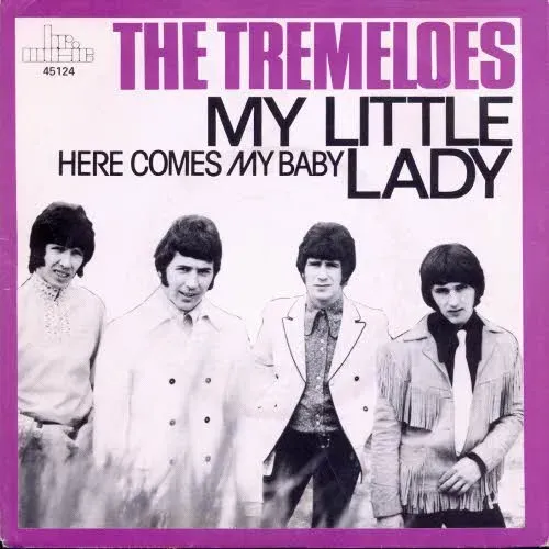 Tremeloes - My Little lady / Here Comes my baby (RI)