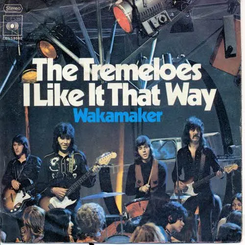 Tremeloes - I like it that way (nur Cover)