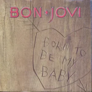 Bon Jovi - Born to be my baby (nur Cover)