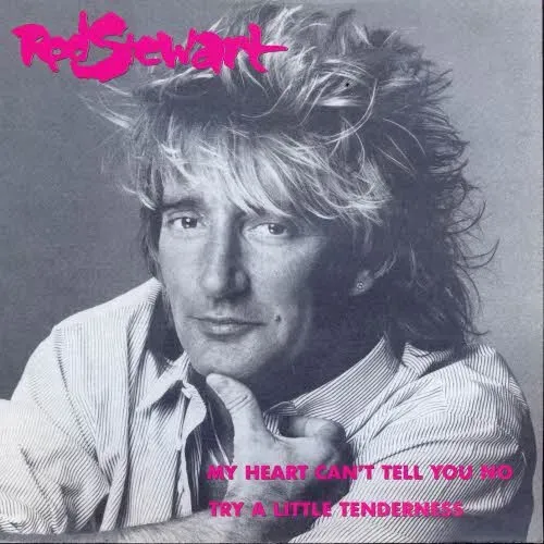 Stewart Rod - My heart can't tell you no (nur Cover)