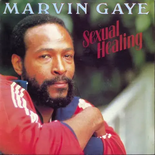 Gaye Marvin - Sexual healing (NL-Pressung)