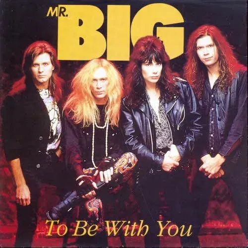 Mr. Big - To be with you (nur Cover)