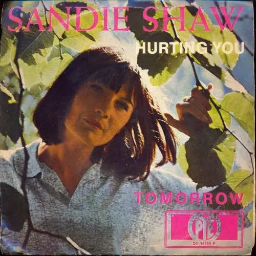 Shaw Sandie - Hurting you