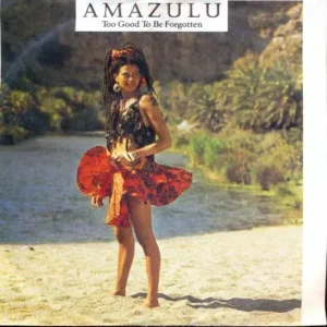 Amazulu - Too good to be forgotten (nur Cover)