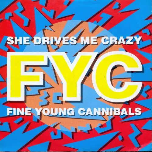 Fine Young Cannibals - She drives me crazy (nur Cover)