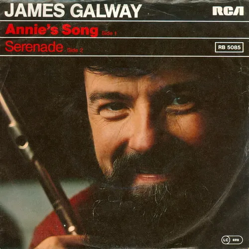 Galway James - Annie's Song (nur Cover)
