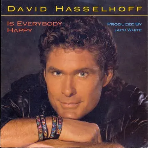 Hasselhoff David - Is everybody happy (nur Cover)