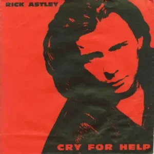 Astley Rick - Cry for help (nur Cover)
