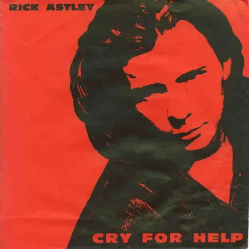 Astley Rick - Cry for help (nur Cover)