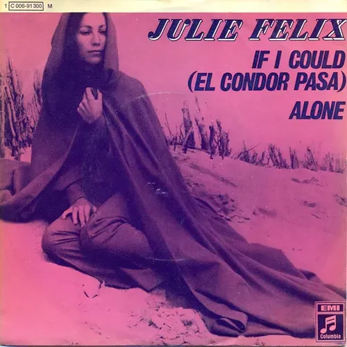 Felix Julie - If I could (nur Cover)