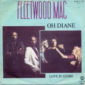 Fleetwood Mac - Oh Diane (nur Cover)