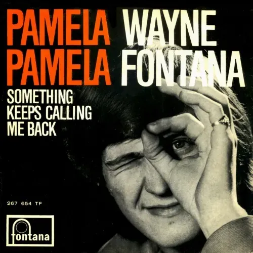 Fontana Wayne - Pamela Pamela (nur Cover)