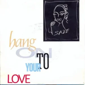 Sade - Hang on to your love (nur Cover)