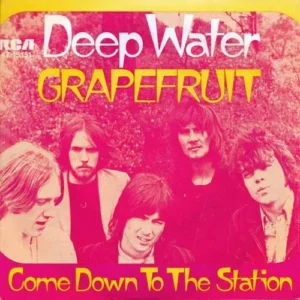 Grapefruit - Deep water (nur Cover)
