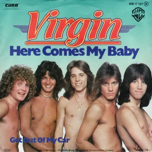 Virgin - Here comes my baby (nur Cover)